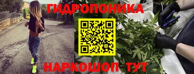 гидра Заводоуковск