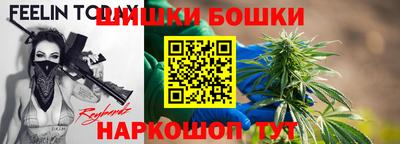 гидра Заводоуковск