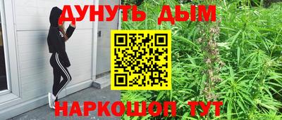 гидра Заводоуковск