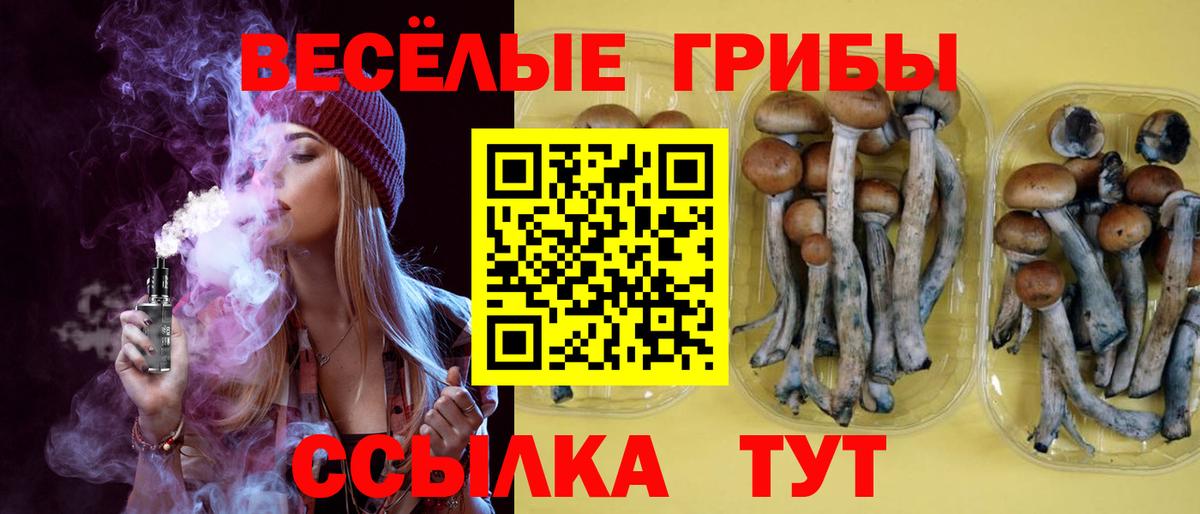 Псилоцибиновые грибы ЛСД Лысьва